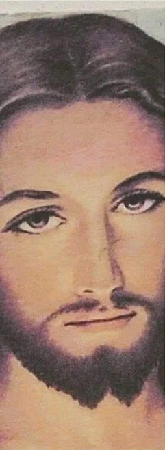 Image: Divine Mercy Daily Prayer