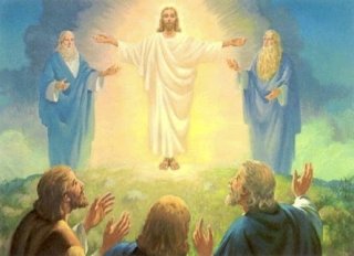The Transfiguration
